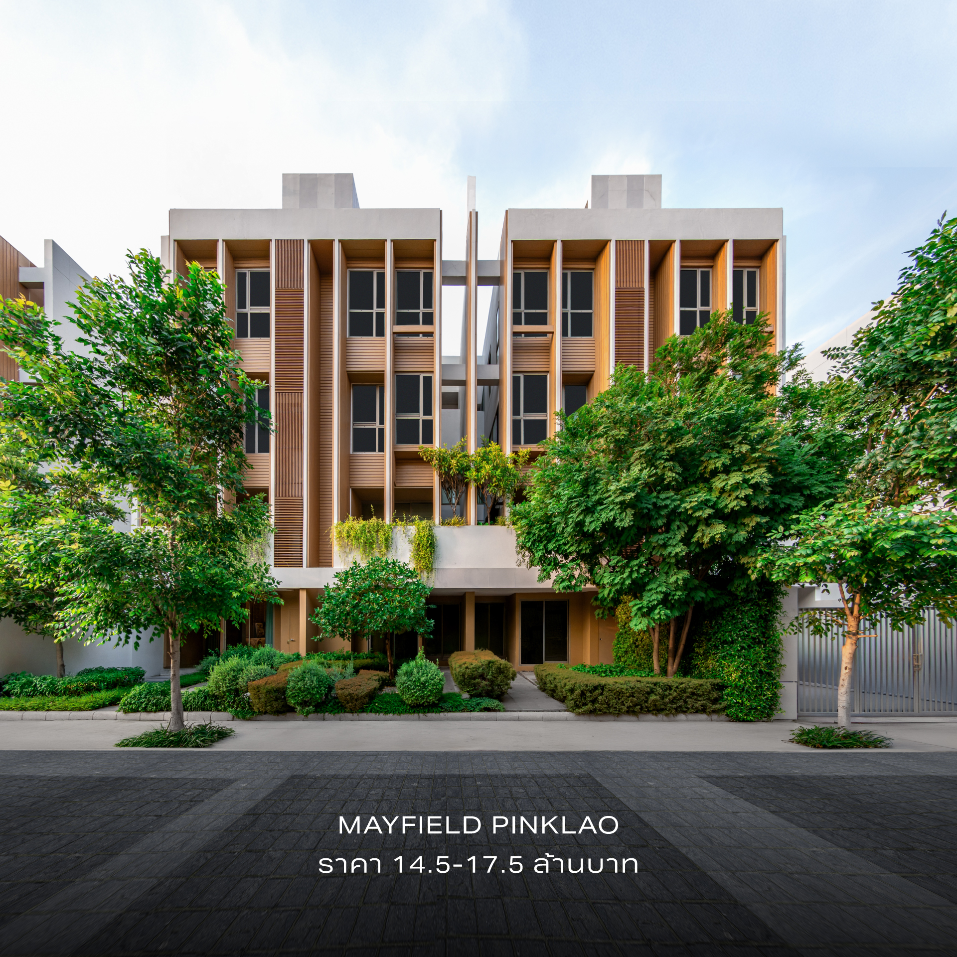 MAYFIELD PINKLAO
