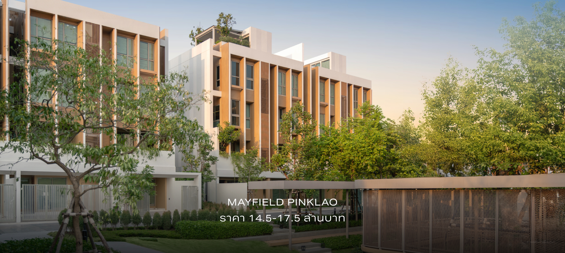 MAYFIELD PINKLAO